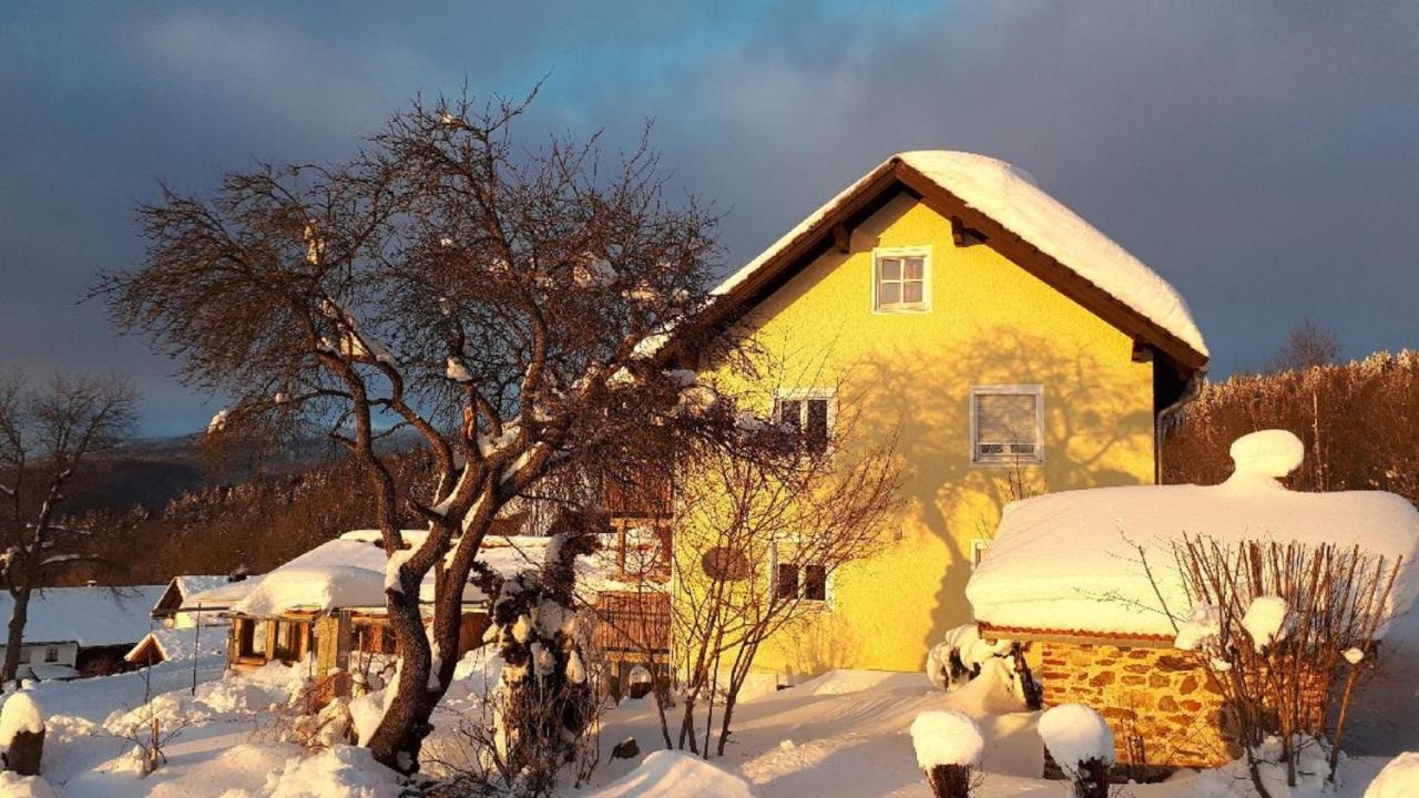 Ferienwohnung Sigi'S Waldhaus Neuschönau Esterno foto